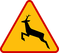 Znak A-18b Zwierzęta dzikie.